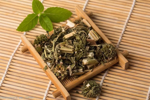 益母草0.jpg
