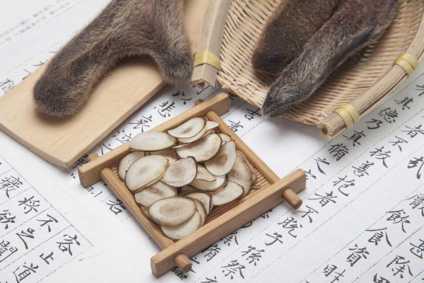 鹿茸0.jpg