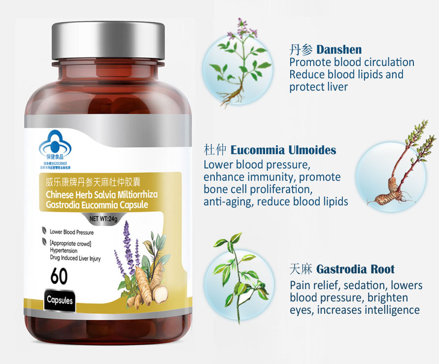 Chinese-herb-salvia-miltiorrhiza-gastrodia-eucommia-capsule.jpg