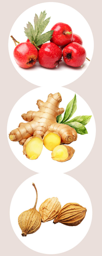 ingredients.jpg