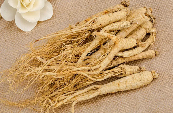 1779775484759955.jpg Ginseng.jpg