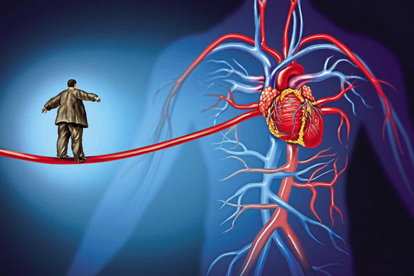 Application Of Herbal Extracts In Cardiovascular & Cerebrovascular Diseases