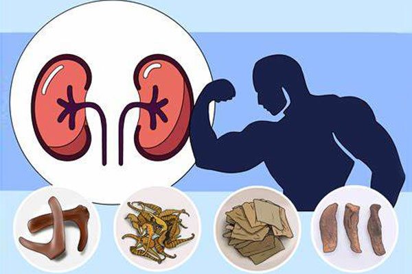 What Chinese Herbs Increase Testosterone?