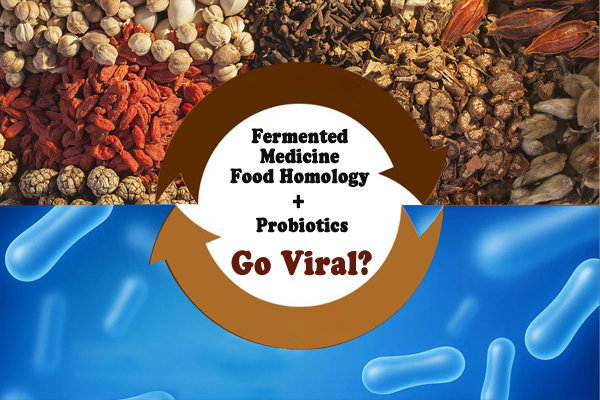 Probiotiques+
La médecine fermentée L\'homologie de la nourriture est-elle virale?