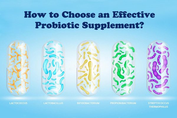 Comment choisir un complément probiotique efficace ?