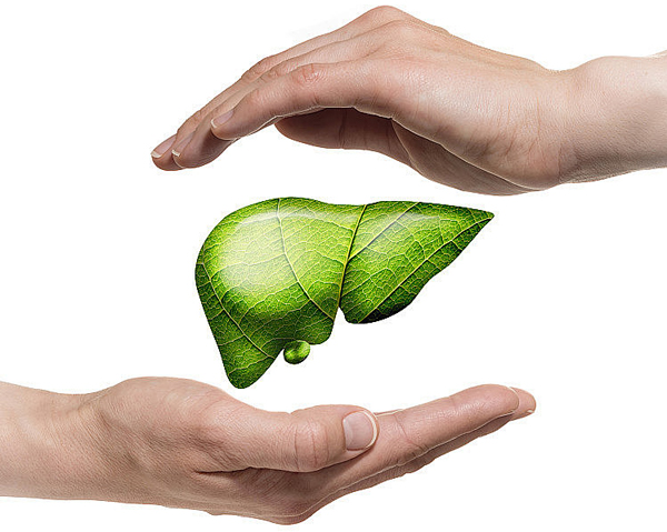 2 loại thức uống thảo dược giúp phục hồi chức năng gan