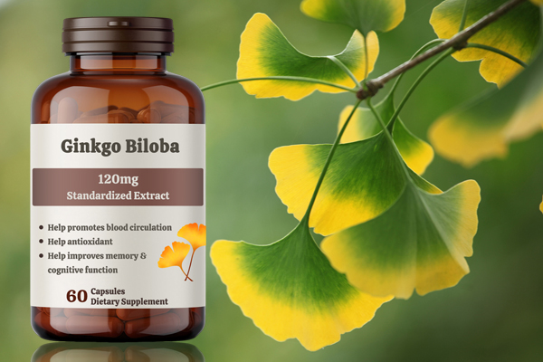 Comment s&39;appelle Ginkgo Biloba en chinois ?