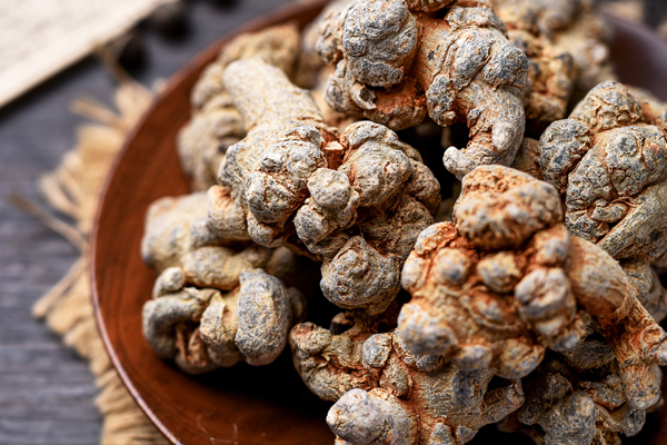 À quoi sert le Panax notoginseng ?