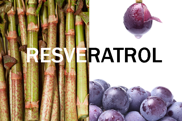 Resveratrol – How to choose the Right Source?