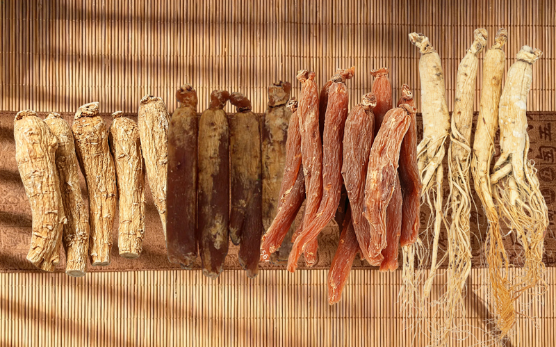 Differences Between 5 Types of Ginsengs
