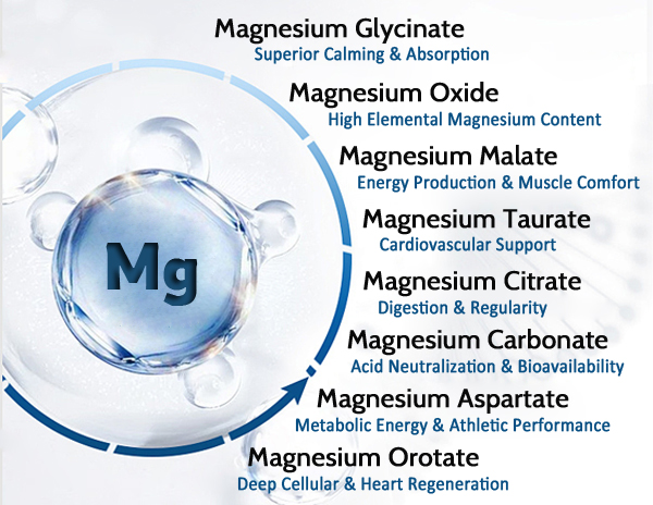 마그네슘 복합체