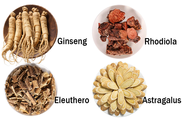 อะแดปโทเจน