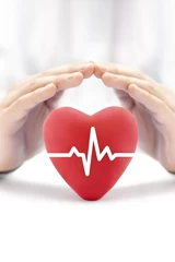 Cardiovascular Supplement